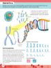 Picture of AMAZING FACTS-HUMAN BODY